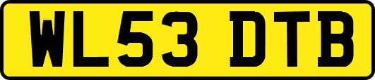 WL53DTB
