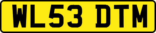 WL53DTM
