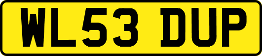 WL53DUP