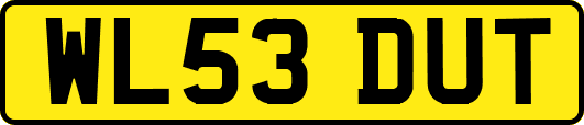 WL53DUT