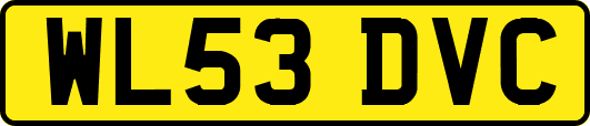WL53DVC