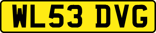 WL53DVG