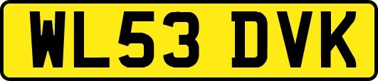 WL53DVK