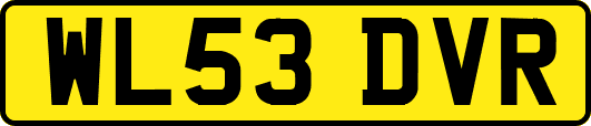 WL53DVR