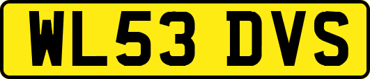 WL53DVS
