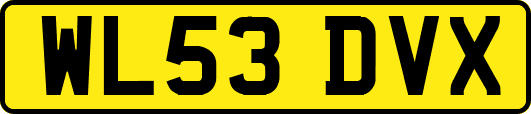 WL53DVX