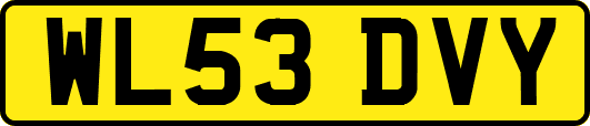WL53DVY