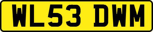 WL53DWM