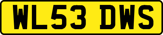 WL53DWS