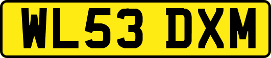WL53DXM