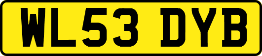 WL53DYB