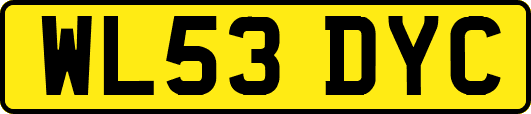 WL53DYC