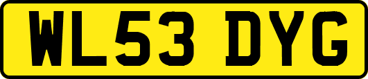 WL53DYG