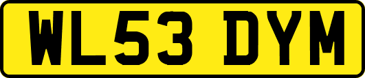 WL53DYM