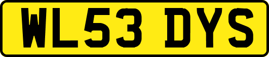 WL53DYS