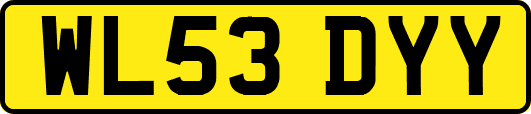 WL53DYY