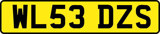 WL53DZS