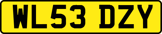 WL53DZY