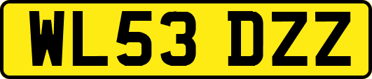 WL53DZZ