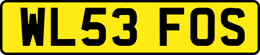 WL53FOS