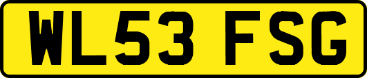 WL53FSG