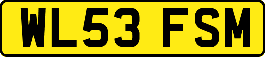 WL53FSM