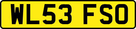 WL53FSO