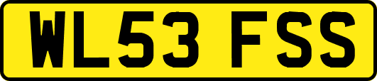 WL53FSS