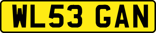 WL53GAN