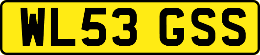 WL53GSS