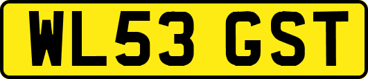 WL53GST