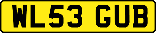 WL53GUB