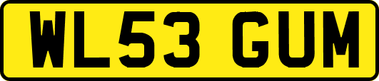 WL53GUM