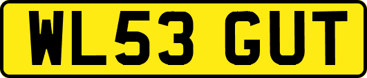 WL53GUT