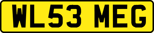 WL53MEG