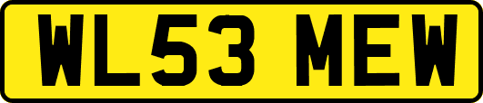 WL53MEW
