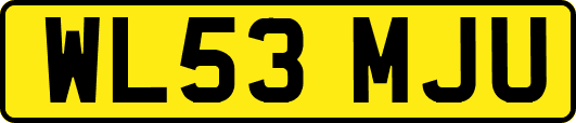 WL53MJU