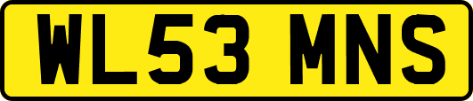 WL53MNS