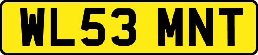 WL53MNT