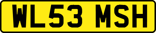 WL53MSH