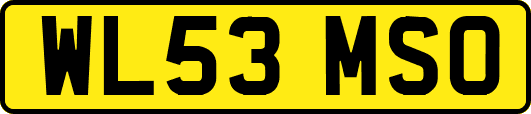 WL53MSO