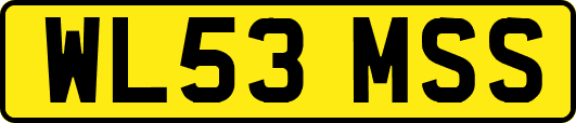 WL53MSS