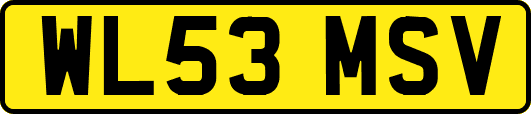 WL53MSV