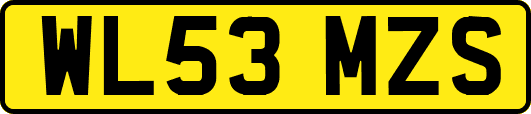 WL53MZS