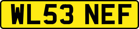 WL53NEF