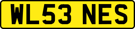 WL53NES
