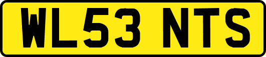 WL53NTS