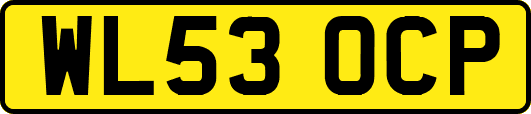 WL53OCP