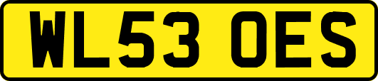 WL53OES