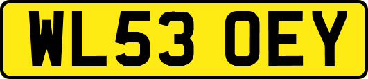 WL53OEY